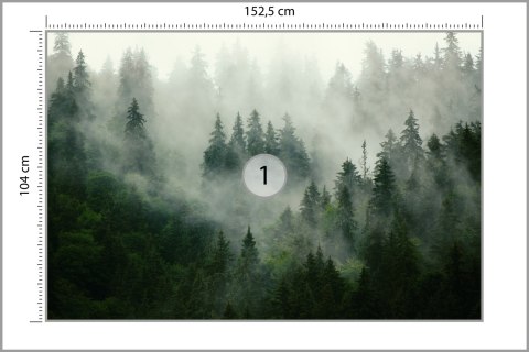 Fototapeta Las We Mgle Vinyl Gładki 152.5x104 FT-25-VGL