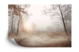 Fototapeta Las We Mgle Vinyl Gładki 152.5x104 FT-465-VGL