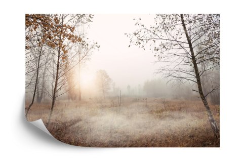 Fototapeta Las We Mgle Vinyl Gładki 152.5x104 FT-465-VGL