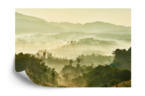 Fototapeta Las We Mgle Vinyl Gładki 152.5x104 FT-489-VGL