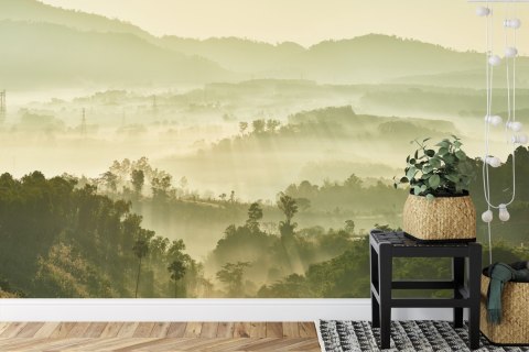 Fototapeta Las We Mgle Vinyl Gładki 152.5x104 FT-489-VGL