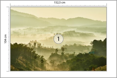 Fototapeta Las We Mgle Vinyl Gładki 152.5x104 FT-489-VGL