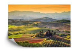 Fototapeta Pole 3D Flizelina 208x146 FT-228-VEXL