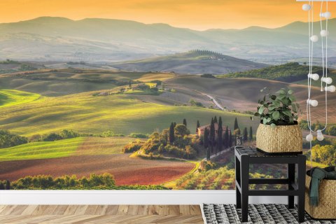 Fototapeta Pole 3D Flizelina 208x146 FT-228-VEXL