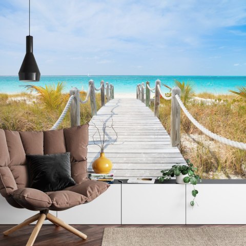 Fototapeta Ścieżka Na Karaibskiej Plaży Flizelina 208x146 FT-4140-VEXL