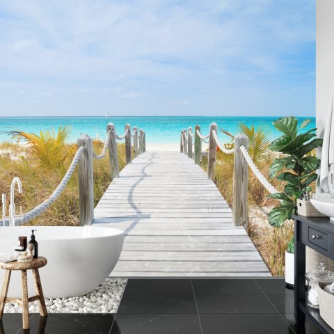 Fototapeta Ścieżka Na Karaibskiej Plaży Flizelina 208x146 FT-4140-VEXL