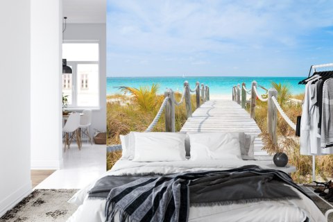 Fototapeta Ścieżka Na Karaibskiej Plaży Flizelina 208x146 FT-4140-VEXL