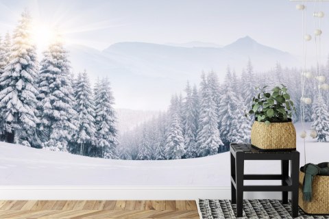 Fototapeta Zimowy Las Flizelina 208x146 FT-268-VEXL