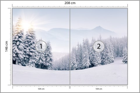 Fototapeta Zimowy Las Flizelina 208x146 FT-268-VEXL