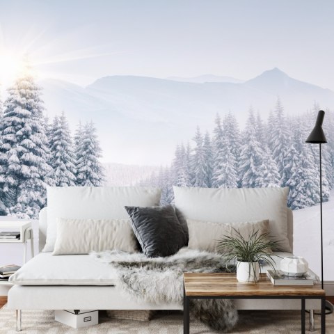 Fototapeta Zimowy Las Vinyl Gładki 152.5x104 FT-268-VGL