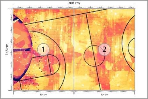 Fototapeta Abstrakcyjne Boisko Do Koszykówki Flizelina 208x146 FT-3161-VEXL