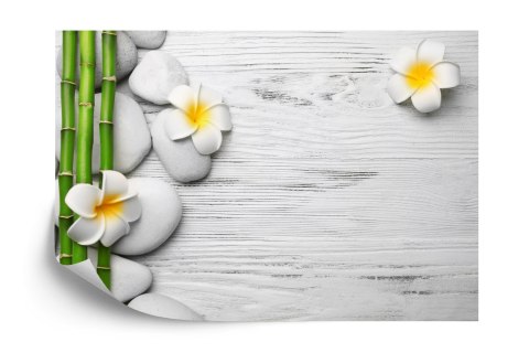 Fototapeta Bambusy Z Kwiatami I Kamieniami Flizelina 208x146 FT-2490-VEXL