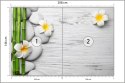 Fototapeta Bambusy Z Kwiatami I Kamieniami Flizelina 208x146 FT-2490-VEXL