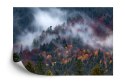 Fototapeta Jesienny Las W Pięknej Mgle Flizelina 208x146 FT-4044-VEXL