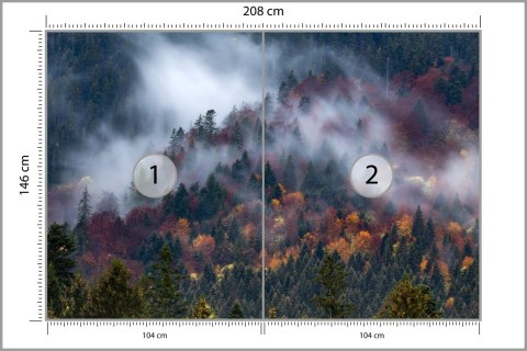 Fototapeta Jesienny Las W Pięknej Mgle Flizelina 208x146 FT-4044-VEXL