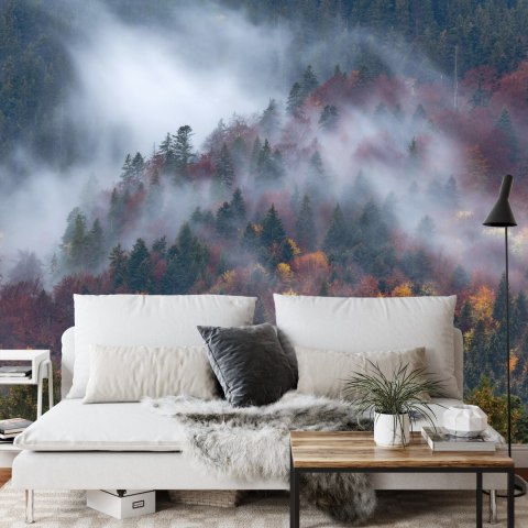 Fototapeta Jesienny Las W Pięknej Mgle Vinyl Gładki 152.5x104 FT-4044-VGL