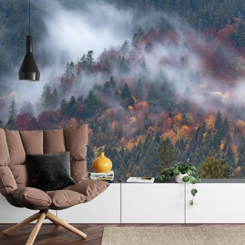 Fototapeta Jesienny Las W Pięknej Mgle Vinyl Gładki 152.5x104 FT-4044-VGL