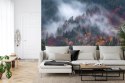 Fototapeta Jesienny Las W Pięknej Mgle Vinyl Gładki 152.5x104 FT-4044-VGL