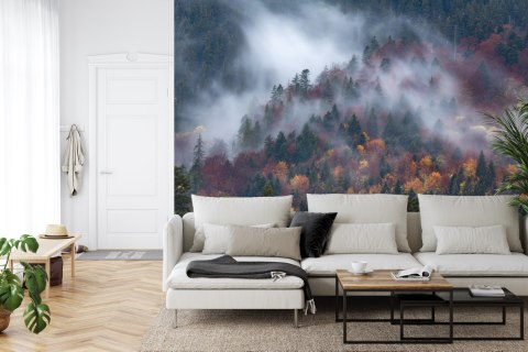 Fototapeta Jesienny Las W Pięknej Mgle Vinyl Gładki 152.5x104 FT-4044-VGL
