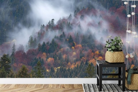 Fototapeta Jesienny Las W Pięknej Mgle Vinyl Gładki 152.5x104 FT-4044-VGL