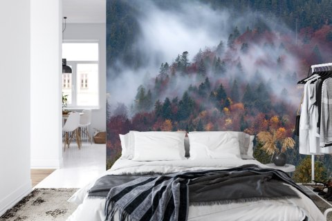 Fototapeta Jesienny Las W Pięknej Mgle Vinyl Gładki 152.5x104 FT-4044-VGL