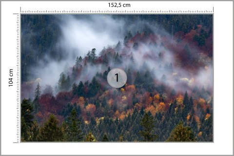 Fototapeta Jesienny Las W Pięknej Mgle Vinyl Gładki 152.5x104 FT-4044-VGL