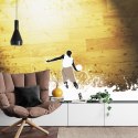 Fototapeta Koszykarz Na Tle Desek Flizelina 208x146 FT-3164-VEXL