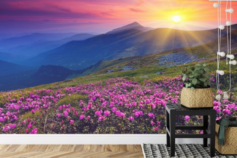 Fototapeta Kwiaty Flizelina 208x146 FT-238-VEXL