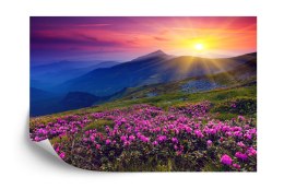 Fototapeta Kwiaty Vinyl Gładki 152.5x104 FT-238-VGL