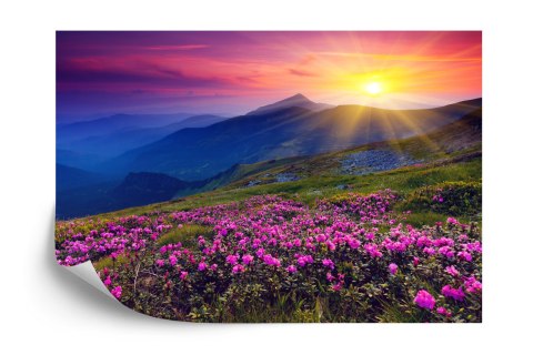 Fototapeta Kwiaty Vinyl Gładki 152.5x104 FT-238-VGL