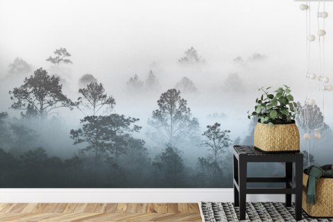 Fototapeta Las We Mgle Flizelina 208x146 FT-2927-VEXL