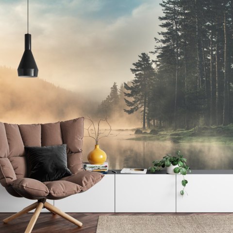 Fototapeta Las We Mgle Flizelina 208x146 FT-469-VEXL