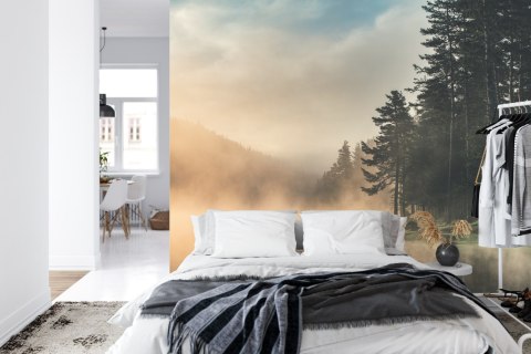 Fototapeta Las We Mgle Flizelina 208x146 FT-469-VEXL