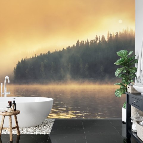 Fototapeta Las We Mgle Flizelina 208x146 FT-474-VEXL