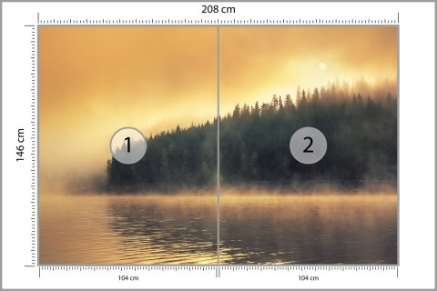 Fototapeta Las We Mgle Flizelina 208x146 FT-474-VEXL