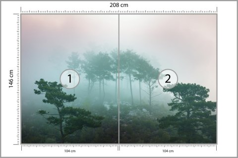 Fototapeta Las We Mgle Flizelina 208x146 FT-480-VEXL