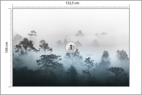 Fototapeta Las We Mgle Vinyl Gładki 152.5x104 FT-2927-VGL