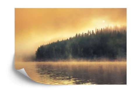 Fototapeta Las We Mgle Vinyl Gładki 152.5x104 FT-474-VGL