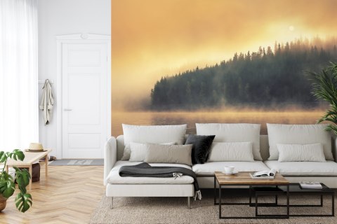 Fototapeta Las We Mgle Vinyl Gładki 152.5x104 FT-474-VGL