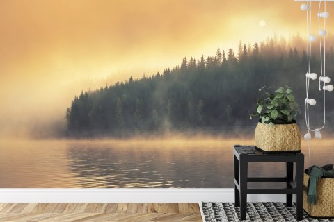 Fototapeta Las We Mgle Vinyl Gładki 152.5x104 FT-474-VGL