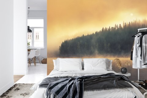 Fototapeta Las We Mgle Vinyl Gładki 152.5x104 FT-474-VGL