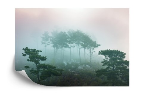 Fototapeta Las We Mgle Vinyl Gładki 152.5x104 FT-480-VGL