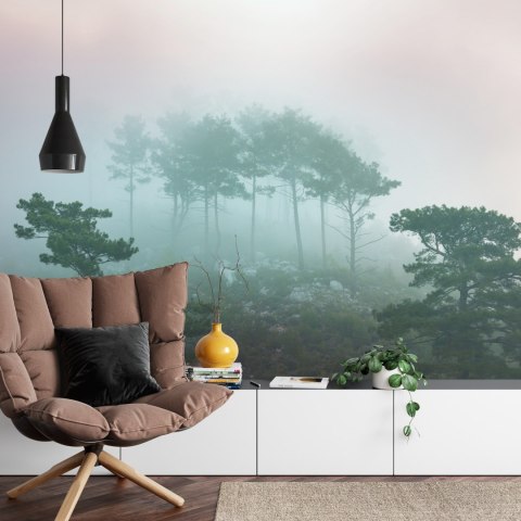 Fototapeta Las We Mgle Vinyl Gładki 152.5x104 FT-480-VGL