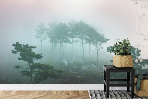 Fototapeta Las We Mgle Vinyl Gładki 152.5x104 FT-480-VGL