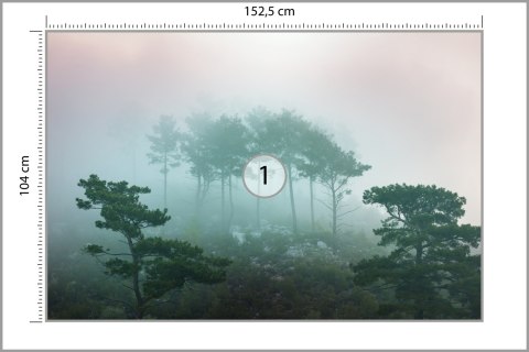 Fototapeta Las We Mgle Vinyl Gładki 152.5x104 FT-480-VGL