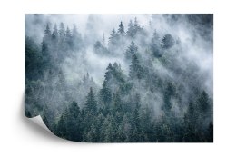 Fototapeta Mglisty Las W Górach Flizelina 208x146 FT-4049-VEXL