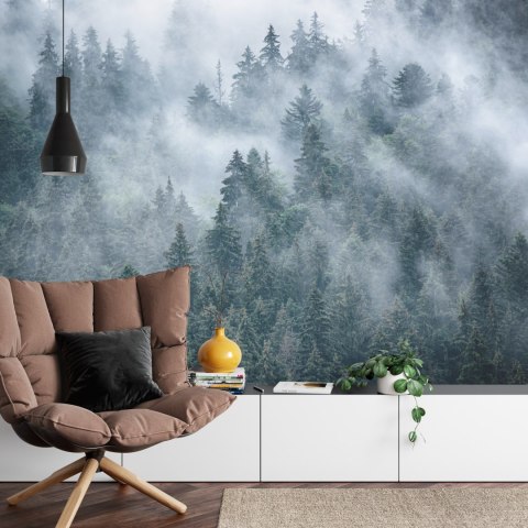 Fototapeta Mglisty Las W Górach Flizelina 208x146 FT-4049-VEXL