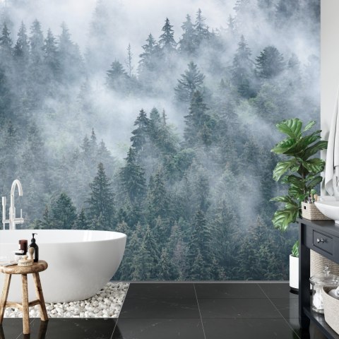 Fototapeta Mglisty Las W Górach Flizelina 208x146 FT-4049-VEXL