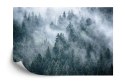Fototapeta Mglisty Las W Górach Vinyl Gładki 152.5x104 FT-4049-VGL