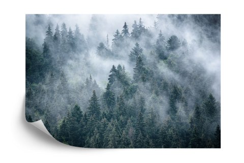 Fototapeta Mglisty Las W Górach Vinyl Gładki 152.5x104 FT-4049-VGL